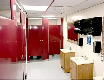 Buque de pasajeros en venta