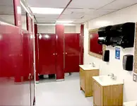 Buque de pasajeros en venta