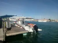 Soporte para buceo en venta