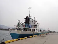 General Cargo/Multi-purpose en venta