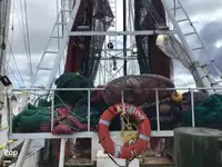 Arrastrero en venta