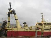 Arrastrero en venta