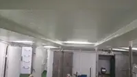 Arrastrero en venta