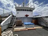 Arrastrero en venta