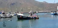 Arrastrero en venta