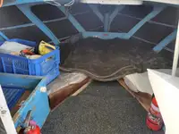 Arrastrero en venta