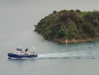 Catamarán en venta