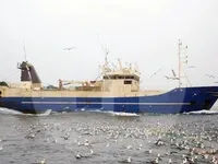 Arrastrero en venta