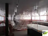 Buque de crucero en venta
