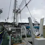 Arrastrero de cerco en venta