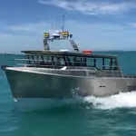 Barcos de trabajo en venta
