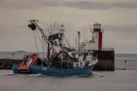 Arrastrero de cerco en venta