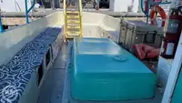 Buque de crucero en venta
