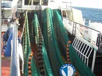 Arrastrero en venta