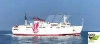 Buque Ro-Ro en venta