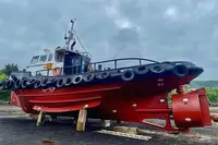 Barcos de trabajo en venta