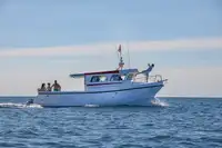 Barco de transbordador en venta