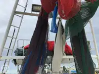 Arrastrero en venta