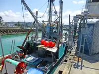 Trawler en venta