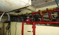 Lancha piloto en venta