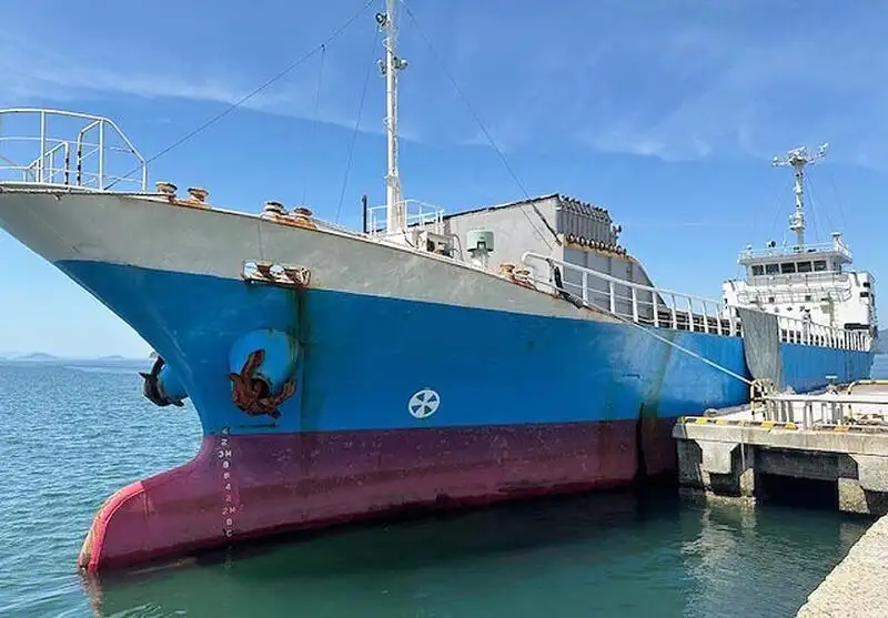 Buque granelero en venta