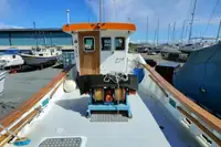 Barcos de trabajo en venta
