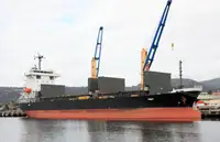 Granelero en venta