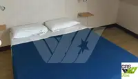 Buque Ro-Ro en venta