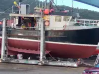 Palangrero en venta