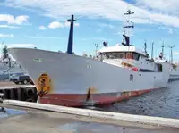 Palangrero en venta