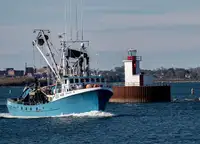 Purse seiner en venta