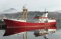 Barcos de trabajo en venta