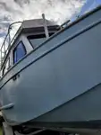 Barcos de trabajo en venta