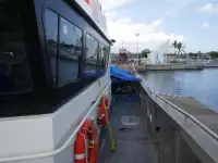 Catamarán en venta