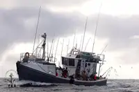Arrastrero en venta