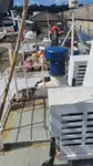 Palangrero en venta