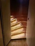 Buque de crucero en venta