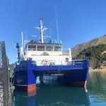 Catamarán en venta