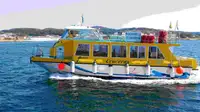 Barco de transbordador en venta