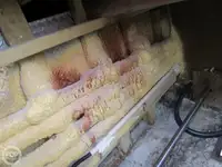 Arrastrero en venta