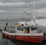Barcos de trabajo en venta