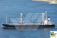 Granelero en venta
