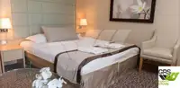 Buque de crucero en venta