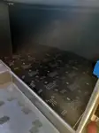 Buque de crucero en venta