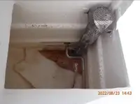 Arrastrero de cerco en venta