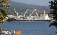 Granelero en venta