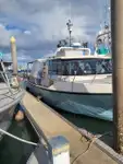 Portador de GNL en venta