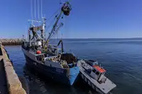 Arrastrero de cerco en venta