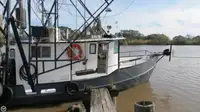 Arrastrero en venta