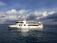 Buque de crucero en venta